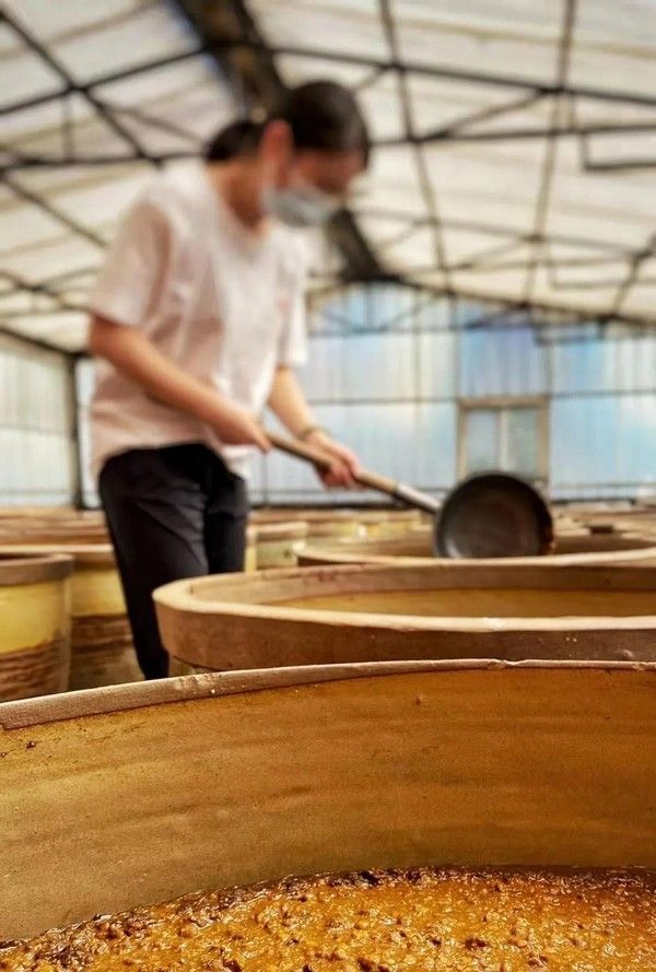 特种豌豆酱油酿造成功，无糖、淀粉和麸质原料参与凸显独创性