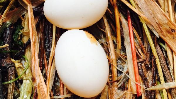 蛋白质和维生素对青少年成长很重要