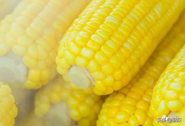 现在很流行低“糖”饮食,各类主食“碳水”含量大盘点