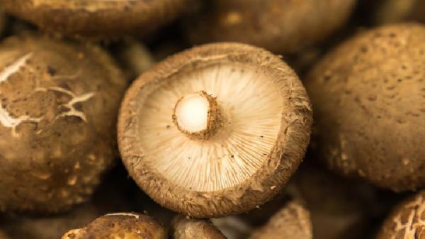 水果减肥要注意什么？水果减肥不简单这5点要注意