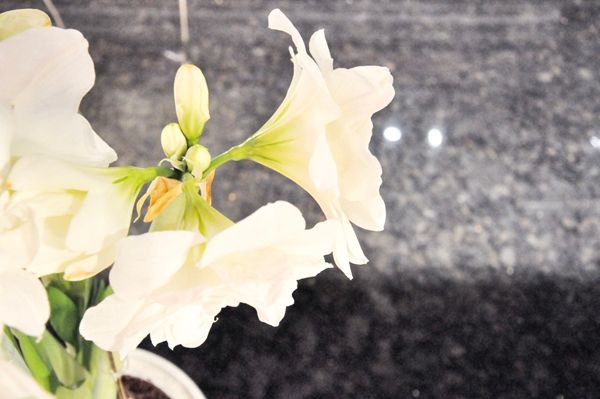 谷雨吃韭菜有什么讲究和禁忌