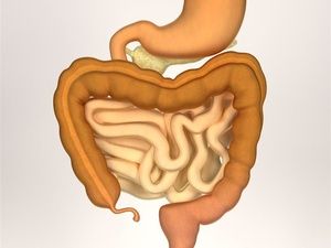 碧生源減肥茶后便血