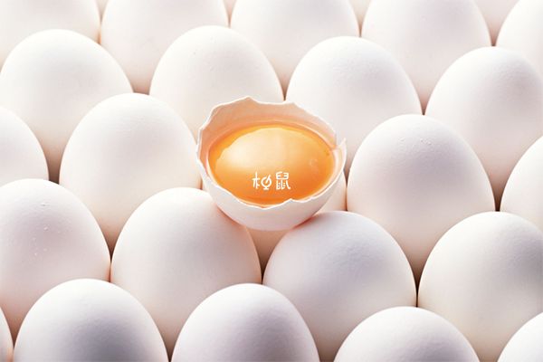 鸡蛋蛋白质含量相当丰富