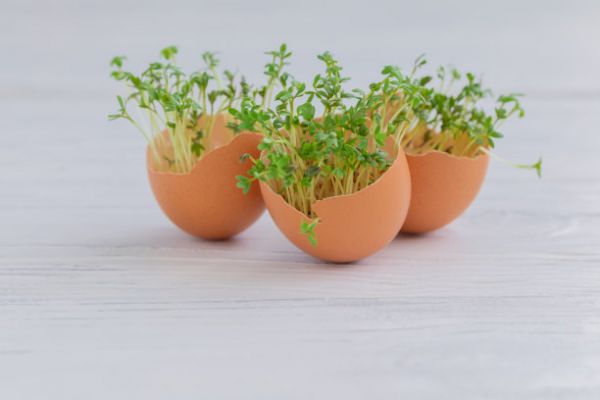 健康保健,环境问题,可生物降解材料