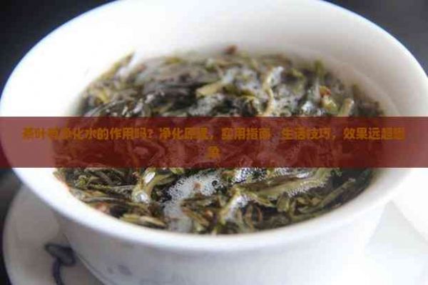 茶叶有净化水的作用吗