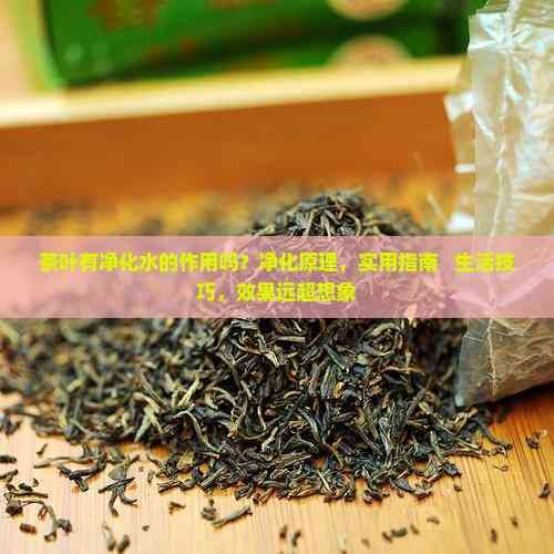 茶叶有净化水的作用吗