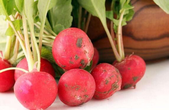 樱桃萝卜的功效与作用