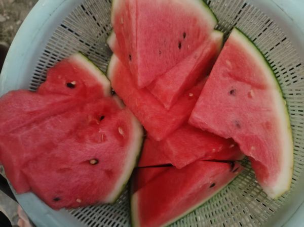 甜王西瓜橫切特寫，展示鮮紅均勻瓜瓤、細(xì)密砂質(zhì)感、黑亮飽滿瓜籽，背景為清晨露珠未干的田間采摘場(chǎng)景