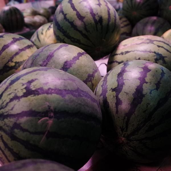 西瓜适合减肥的人吃吗