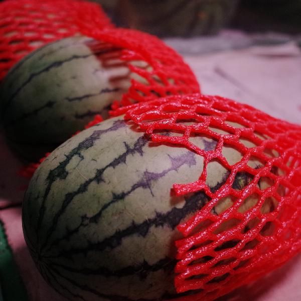 西瓜适合减肥的人吃吗