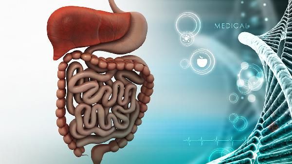 荔枝是直肠癌“加速器”？医生直言：若想肠道健康，试试这些水果