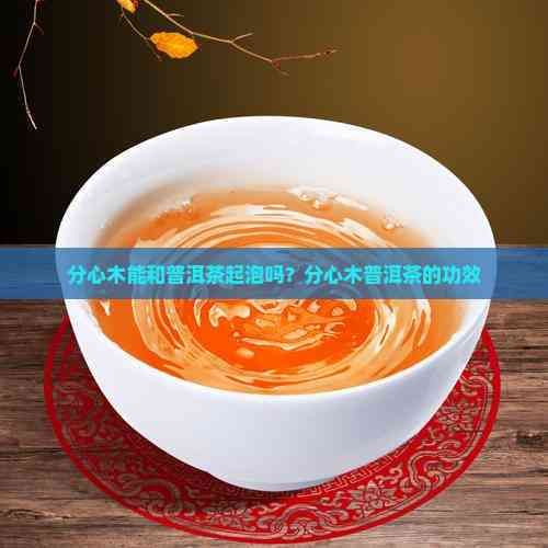 分心木能和普洱茶起泡吗?分心木普洱茶的功效
