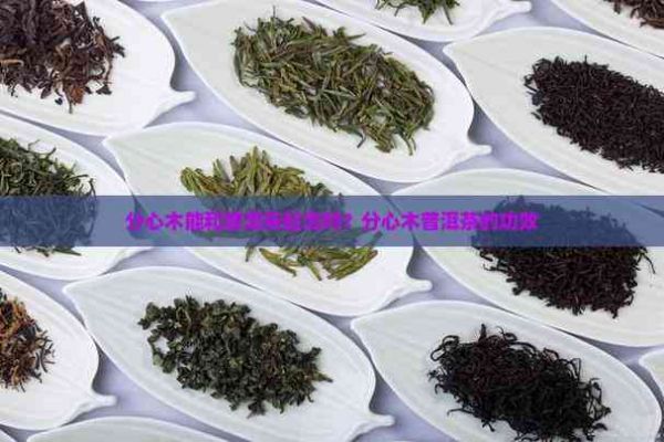 分心木能和普洱茶起泡吗?分心木普洱茶的功效