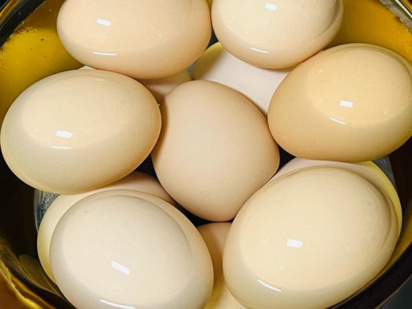 純奶手撕吐司的做法 步驟1