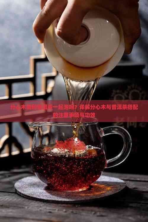 分心木能和普洱茶一起泡吗？详解分心木与普洱茶搭配的注意事项与功效
