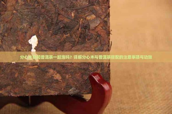 分心木能和普洱茶一起泡吗？详解分心木与普洱茶搭配的注意事项与功效