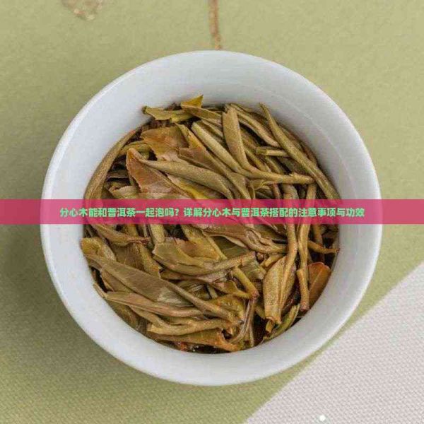 分心木能和普洱茶一起泡吗？详解分心木与普洱茶搭配的注意事项与功效