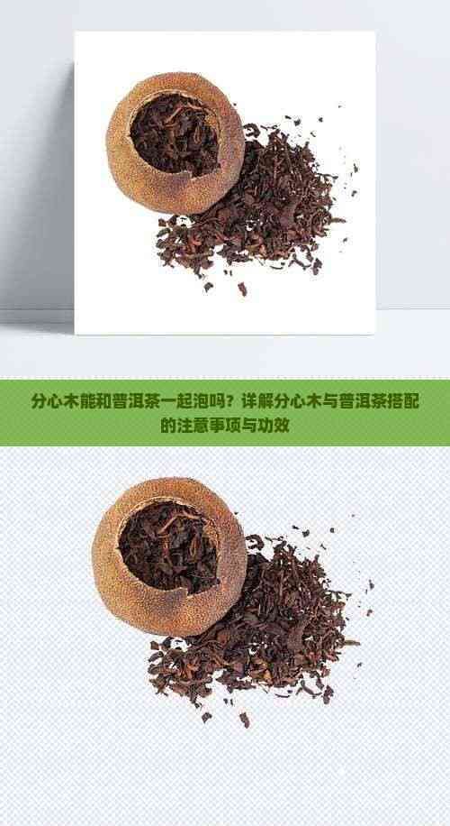 分心木能和普洱茶一起泡吗？详解分心木与普洱茶搭配的注意事项与功效