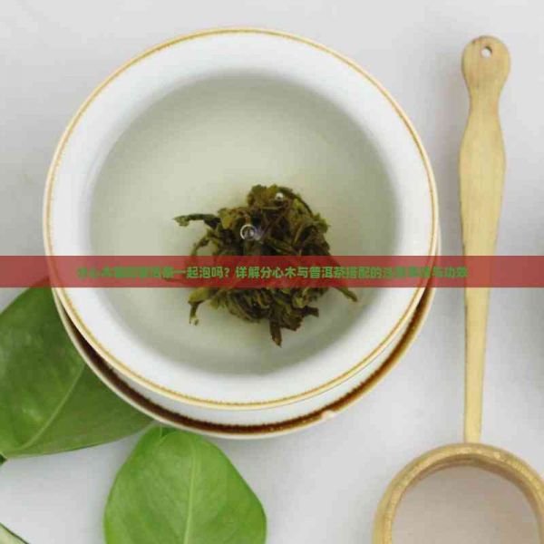 分心木能和普洱茶一起泡吗？详解分心木与普洱茶搭配的注意事项与功效