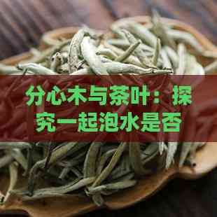 分心木与茶叶：探究一起泡水是否可行