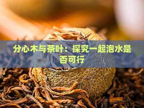 分心木与茶叶：探究一起泡水是否可行