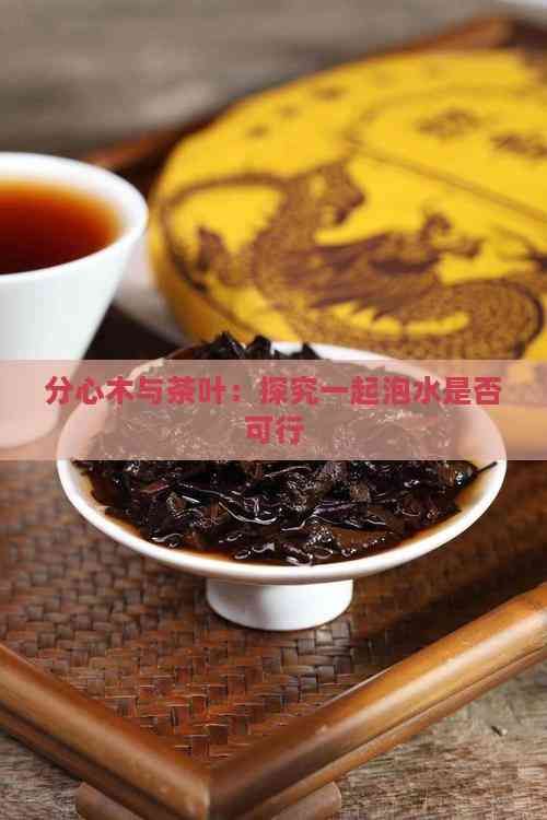 分心木与茶叶：探究一起泡水是否可行