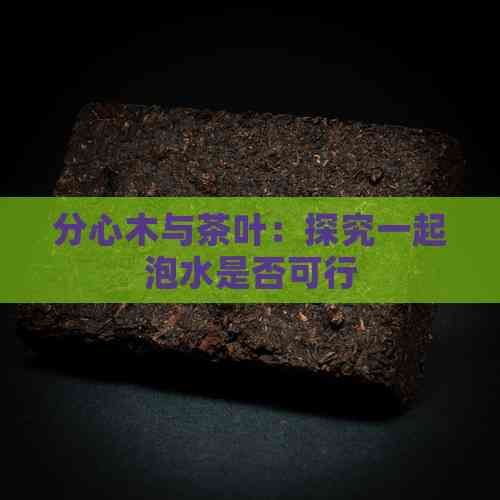 分心木与茶叶：探究一起泡水是否可行
