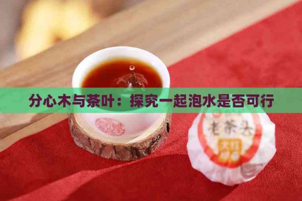 分心木与茶叶：探究一起泡水是否可行