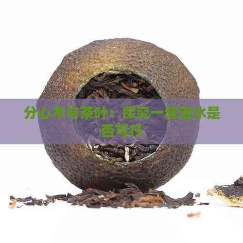分心木与茶叶：探究一起泡水是否可行