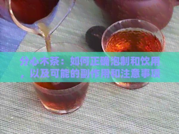 分心木茶：如何正确泡制和饮用，以及可能的副作用和注意事项