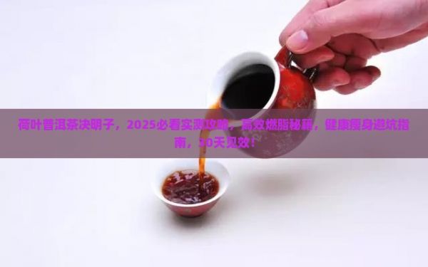 荷叶普洱茶决明子