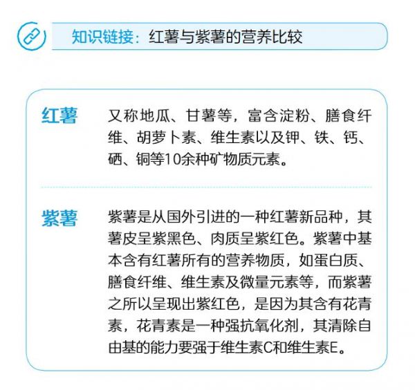 营养师手绘示意图：红薯在人体消化道中的作用路径