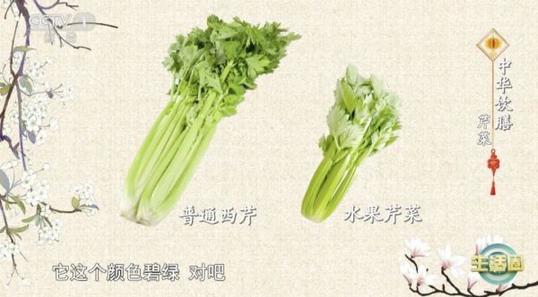 这种蔬菜钙含量超牛奶！降压、消炎还抗肿瘤！这些吃法，码住→