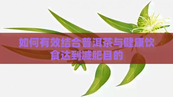 如何有效结合普洱茶与健康饮食达到减肥目的