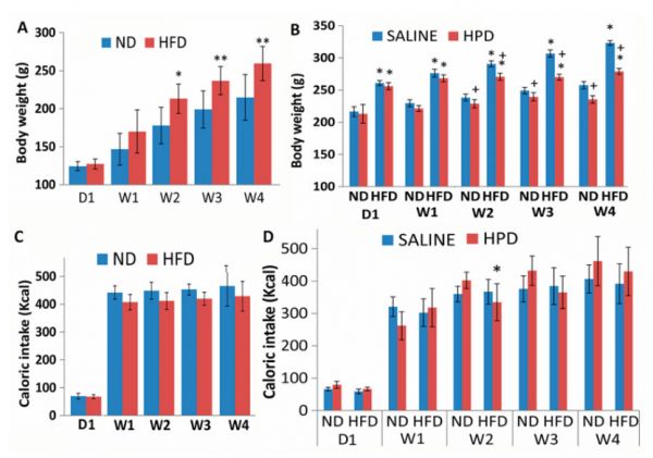 图:ND、HFD以及使用蜂蜜蛋白和生理盐水处理对大鼠热量摄入和体重的影响
