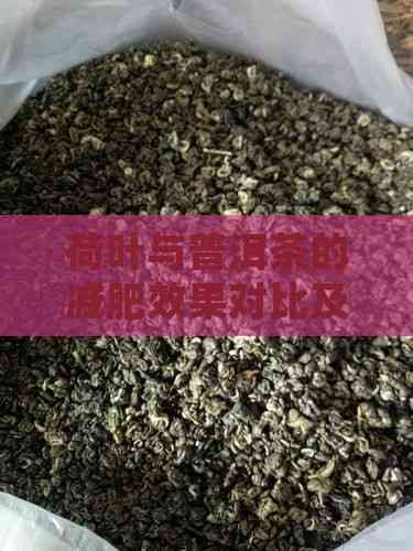 荷叶与普洱茶的减肥效果对比及正确饮用方法