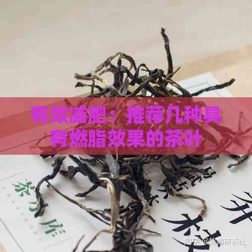 有效减肥:推荐几种具有燃脂效果的茶叶