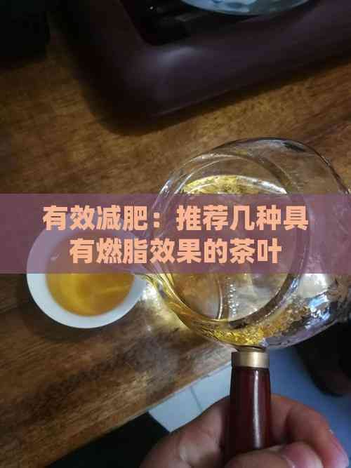 有效减肥:推荐几种具有燃脂效果的茶叶