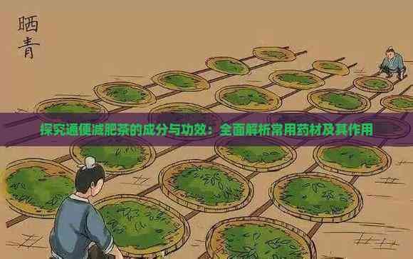 探究通便减肥茶的成分与功效:全面解析常用药材及其作用