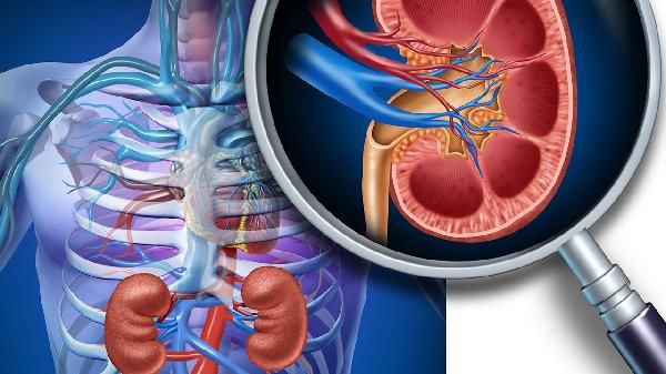 蛋白粉不是万能药！这3类人吃了才有用，乱吃反伤肾！