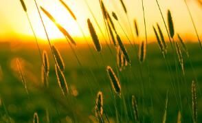 健康的方法是什么？汤臣倍健蛋少不了！