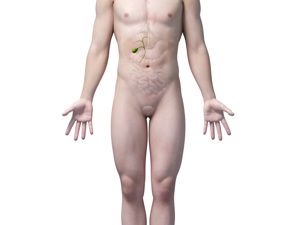 碧生源能减脂肪肝吗