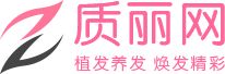 质丽网logo