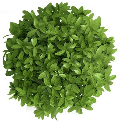 立即试用在线Word协同编辑