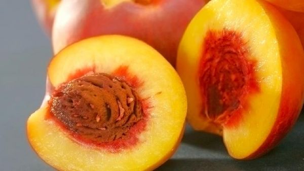 喜欢喝蜂蜜水的你 那你知道蜂蜜算甜食吗