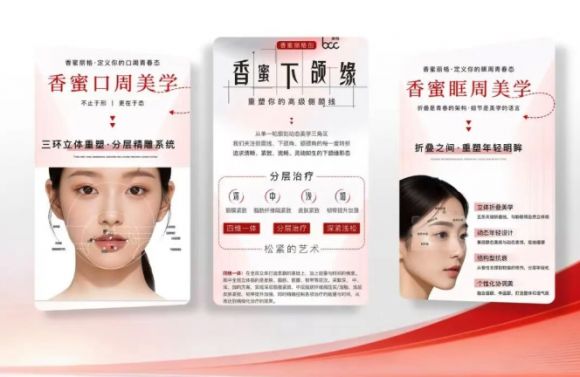 当名字缺席现场,方案却留在现场|黎京雄院长方案再登欧洲LA&HA国际研讨会