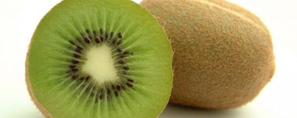 男人肾虚 水果可以治肾虚 尿道感染吃什么水果