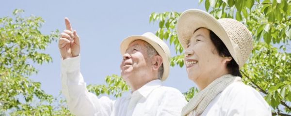 惊蛰养生吃什么 惊蛰养生的蔬菜有哪些 惊蛰养生的饮食