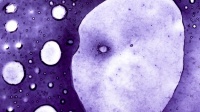 美国霍普金斯大学开发单细胞纳米文身，可提前预警疾病