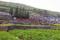 仲景宛西制药：药材好，药才好，好山好水种出好药材